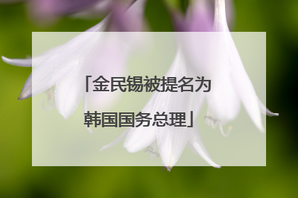 金民锡被提名为韩国国务总理