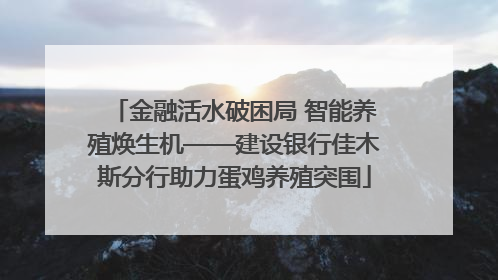 金融活水破困局 智能养殖焕生机——建设银行佳木斯分行助力蛋鸡养殖突围