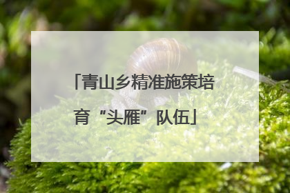 青山乡精准施策培育“头雁”队伍