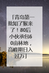 青岛第一批知了猴来了！80后小伙承包60亩林地，高峰期日入过万