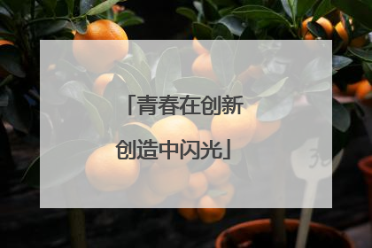 青春在创新创造中闪光