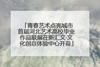 青春艺术点亮城市 首届河北艺术高校毕业作品联展在新汇文·文化创意体验中心开幕
