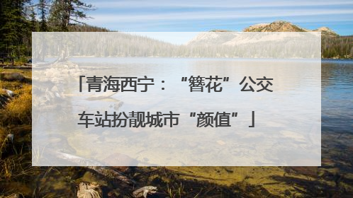 青海西宁：“簪花”公交车站扮靓城市“颜值”