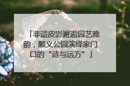 非遗皮影邂逅园艺雅韵，顺义公园演绎家门口的“诗与远方”