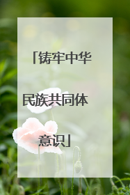 铸牢中华民族共同体意识