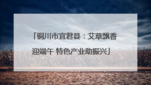 铜川市宜君县：艾草飘香迎端午 特色产业助振兴