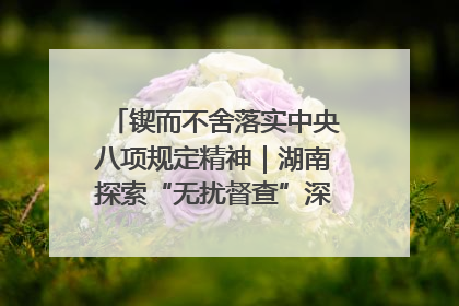 锲而不舍落实中央八项规定精神｜湖南探索“无扰督查”深化基层减负