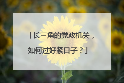 长三角的党政机关，如何过好紧日子？