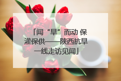 闻“旱”而动 保灌保供——陕西抗旱一线走访见闻