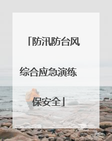 防汛防台风综合应急演练保安全