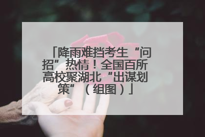 降雨难挡考生“问招”热情！全国百所高校聚湖北“出谋划策”（组图）