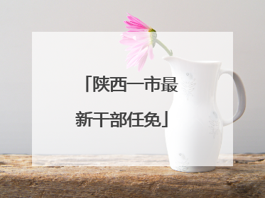 陕西一市最新干部任免