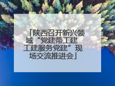 陕西召开新兴领域“党建带工建 工建服务党建”现场交流推进会
