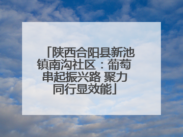 陕西合阳县新池镇南沟社区：葡萄串起振兴路 聚力同行显效能