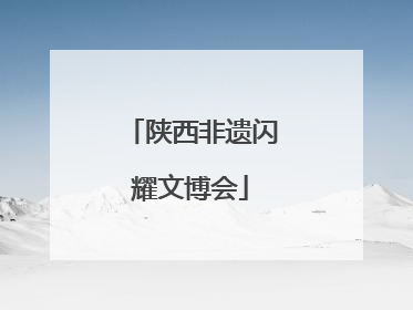 陕西非遗闪耀文博会