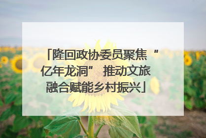 隆回政协委员聚焦“亿年龙洞” 推动文旅融合赋能乡村振兴