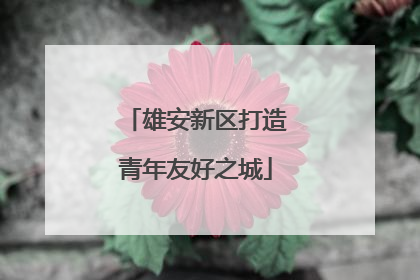 雄安新区打造青年友好之城