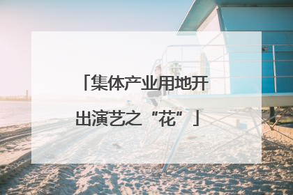 集体产业用地开出演艺之“花”