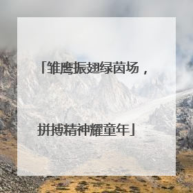 雏鹰振翅绿茵场，拼搏精神耀童年