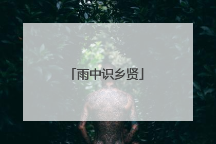 雨中识乡贤