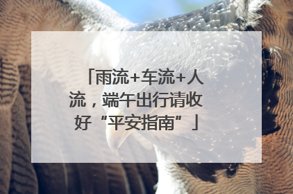 雨流+车流+人流，端午出行请收好“平安指南”