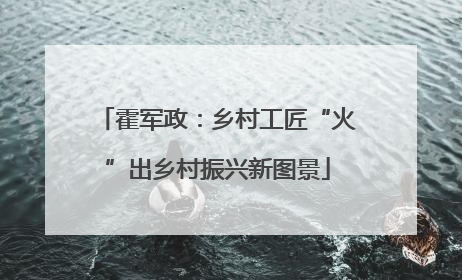 霍军政：乡村工匠“火”出乡村振兴新图景