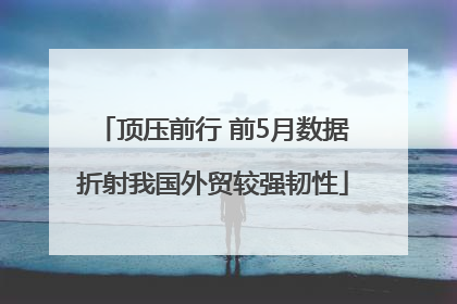 顶压前行 前5月数据折射我国外贸较强韧性