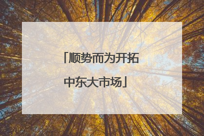 顺势而为开拓中东大市场