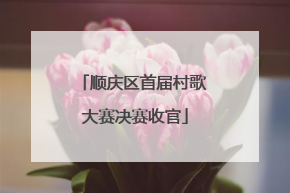 顺庆区首届村歌大赛决赛收官