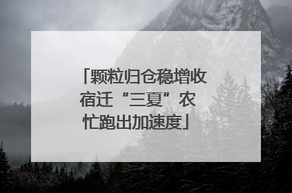 颗粒归仓稳增收 宿迁“三夏”农忙跑出加速度