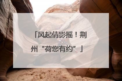 风起倩影摇！荆州“荷您有约”