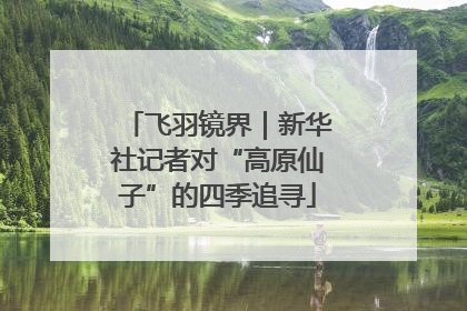 飞羽镜界｜新华社记者对“高原仙子”的四季追寻