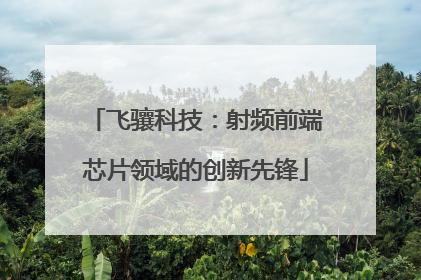 飞骧科技：射频前端芯片领域的创新先锋