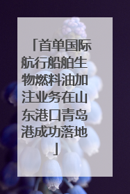 首单国际航行船舶生物燃料油加注业务在山东港口青岛港成功落地