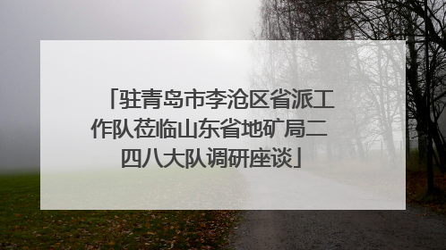 驻青岛市李沧区省派工作队莅临山东省地矿局二四八大队调研座谈