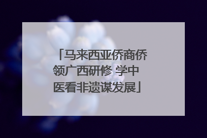 马来西亚侨商侨领广西研修 学中医看非遗谋发展