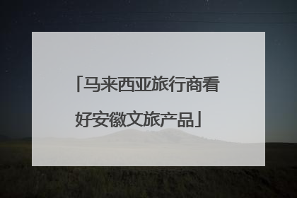 马来西亚旅行商看好安徽文旅产品