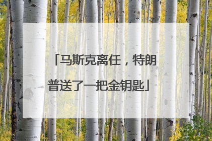 马斯克离任，特朗普送了一把金钥匙