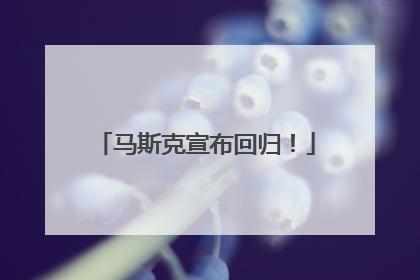 马斯克宣布回归！