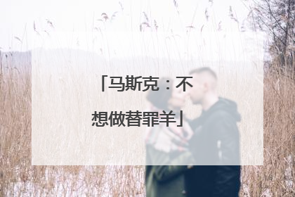 马斯克：不想做替罪羊