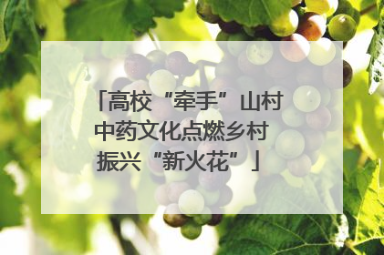 高校“牵手”山村 中药文化点燃乡村振兴“新火花”
