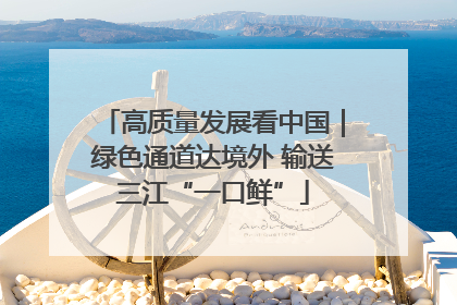 高质量发展看中国｜绿色通道达境外 输送三江“一口鲜”