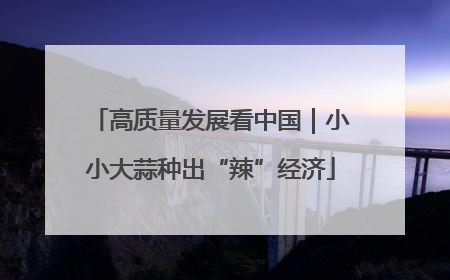 高质量发展看中国｜小小大蒜种出“辣”经济