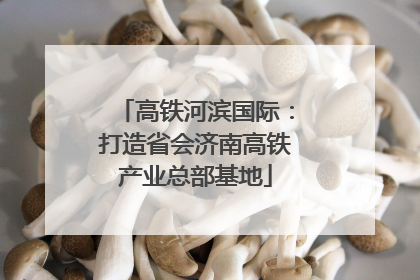 高铁河滨国际：打造省会济南高铁产业总部基地