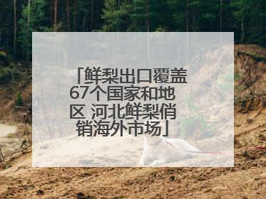鲜梨出口覆盖67个国家和地区 河北鲜梨俏销海外市场