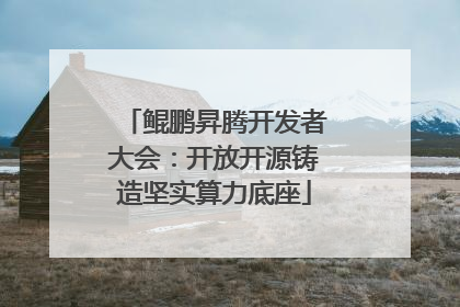 鲲鹏昇腾开发者大会：开放开源铸造坚实算力底座