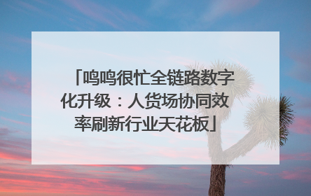 鸣鸣很忙全链路数字化升级：人货场协同效率刷新行业天花板