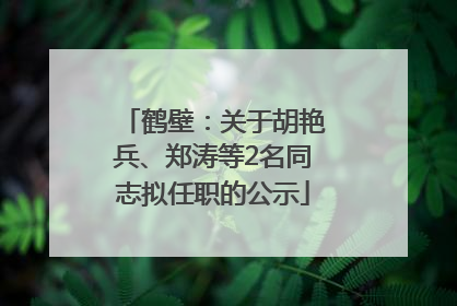 鹤壁：关于胡艳兵、郑涛等2名同志拟任职的公示