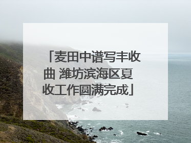 麦田中谱写丰收曲 潍坊滨海区夏收工作圆满完成