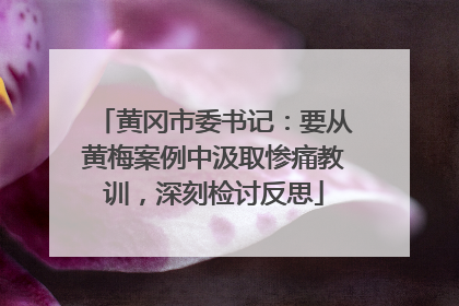 黄冈市委书记：要从黄梅案例中汲取惨痛教训，深刻检讨反思